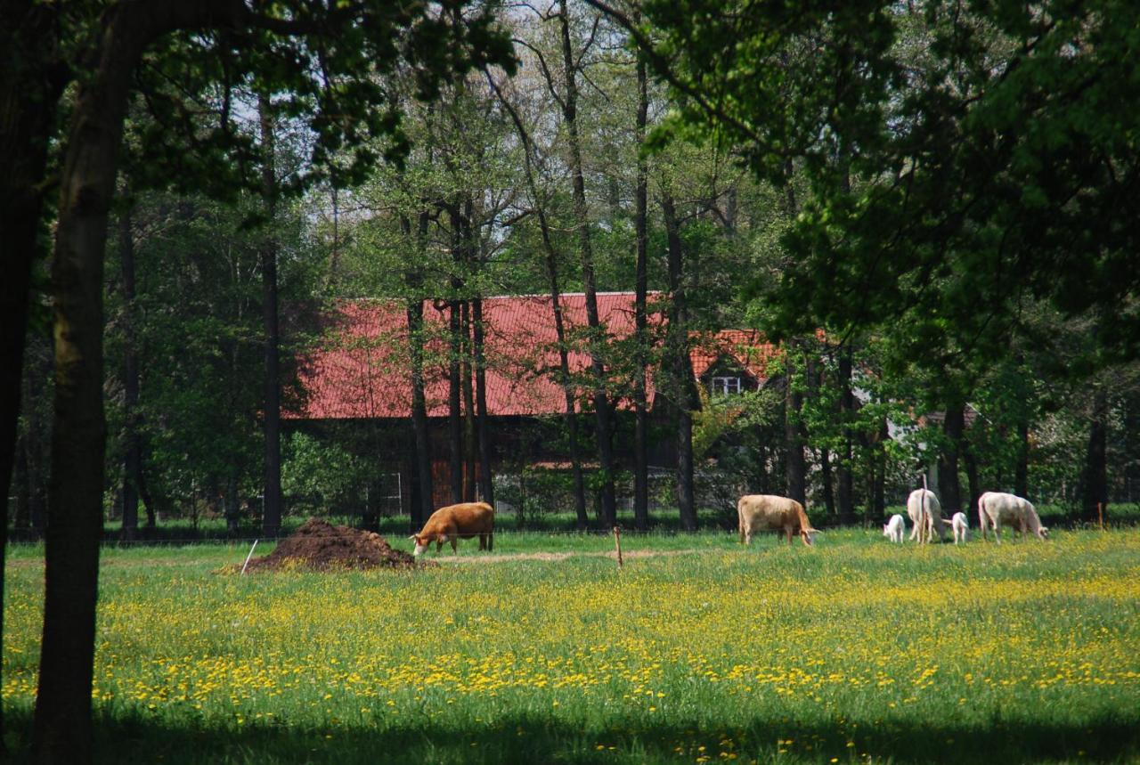 Ferienwohnung Lehmann, Ursel